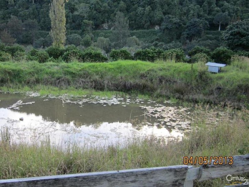 3157 Nowendoc Road, Caffreys Flat NSW 2424