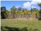 76 Lemon Tree Trail, Brimbin NSW 2430