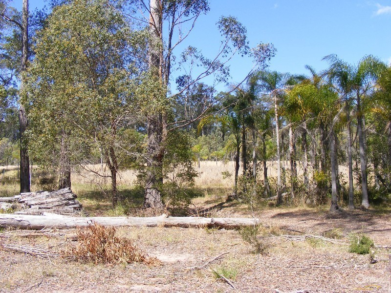 76 Lemon Tree Trail, Brimbin NSW 2430