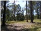 76 Lemon Tree Trail, Brimbin NSW 2430