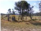 6 Plantation Lane, Cedar Party NSW 2429