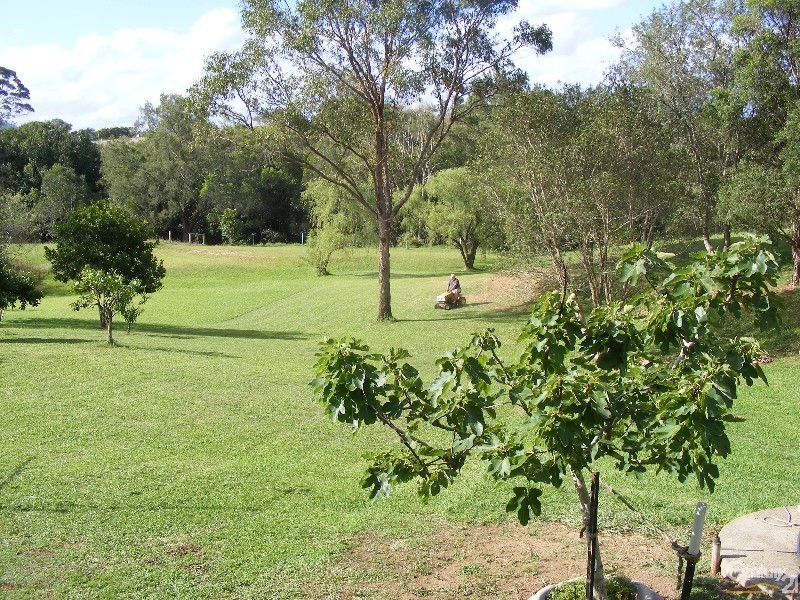 1-3 West Appletree Street, Wingham NSW 2429