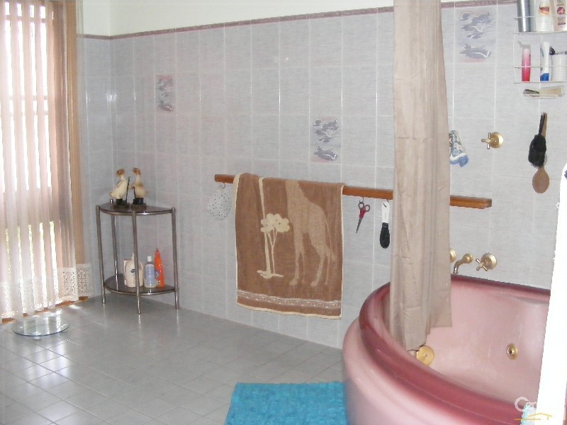 1-3 West Appletree Street, Wingham NSW 2429