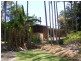 51 Oakvale Road, Brimbin NSW 2430