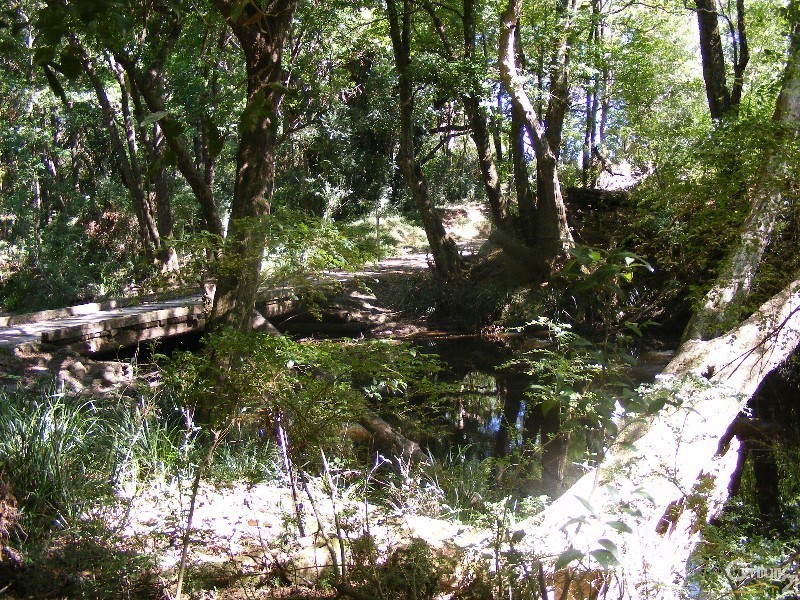 Lansdowne NSW 2430