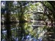 Lansdowne NSW 2430