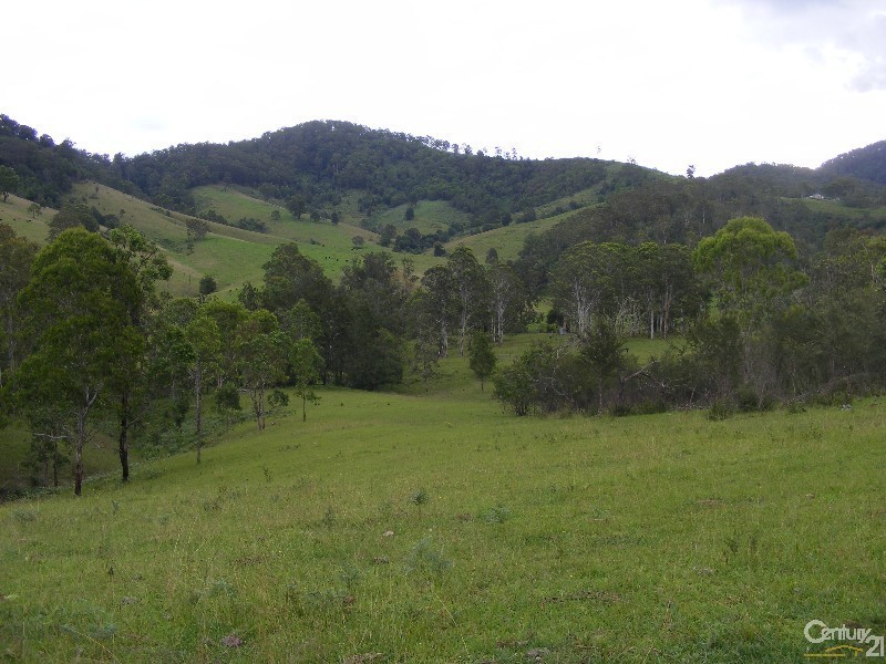 2103 Nowendoc Road, Mount George NSW 2424