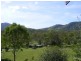 1609 Nowendoc Road, Mount George NSW 2424