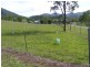 1609 Nowendoc Road, Mount George NSW 2424