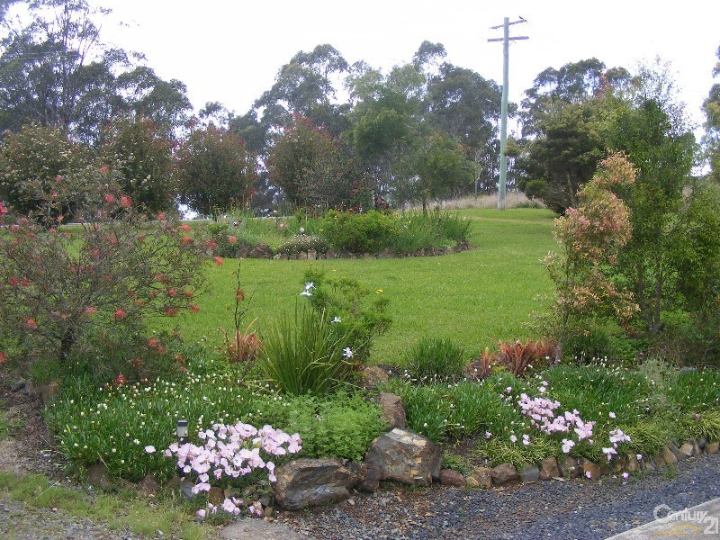 2441 The Buckets Way,, Belbora NSW 2422