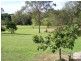 1-3 West Appletree Street, Wingham, Taree NSW 2430