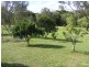 1-3 West Appletree Street, Wingham, Taree NSW 2430