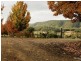 210 Coates Road, Possum Brush, Taree NSW 2430