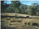 617  Caparra Road, Caparra 2429, Taree NSW 2430
