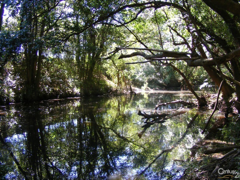 134 Warrens Lane, Lansdowne, Taree NSW 2430