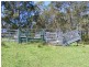 134 Warrens Lane, Lansdowne, Taree NSW 2430