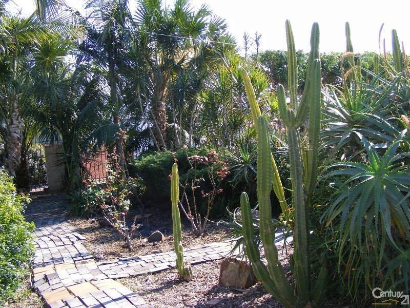 99A Manning Street, Taree NSW 2430