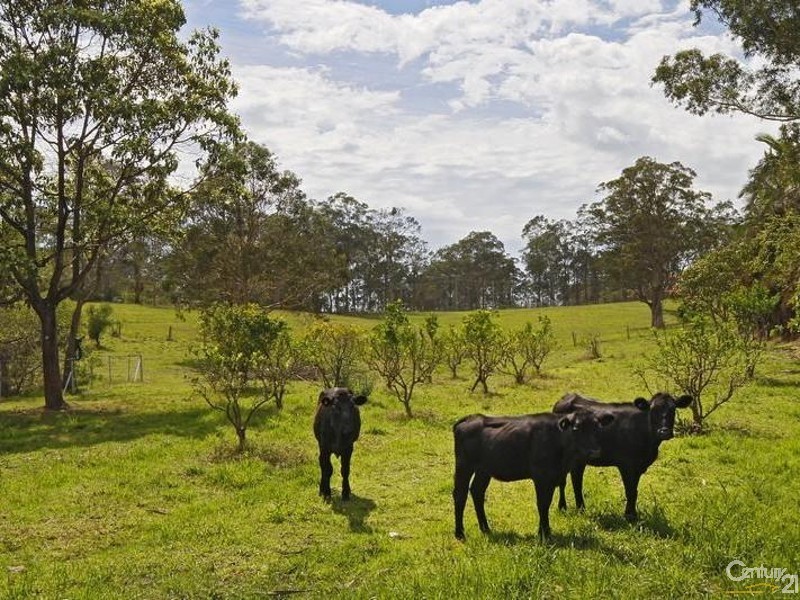 407 Wingham Road, Taree NSW 2430