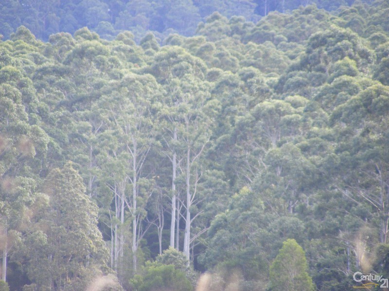 Lot 108 Henrys Lane, Lansdowne NSW 2430