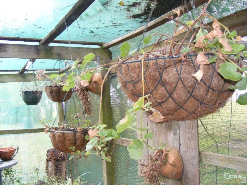 752 Comboyne Road, Cedar Party NSW 2429