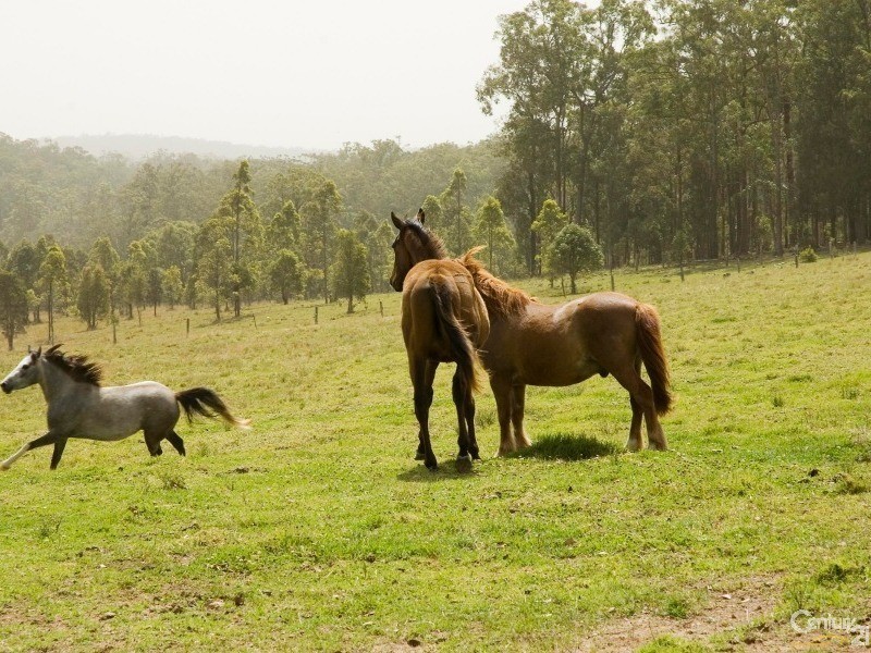 15510 Pacific Highway, Rainbow Flat NSW 2430