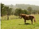 15510 Pacific Highway, Rainbow Flat NSW 2430