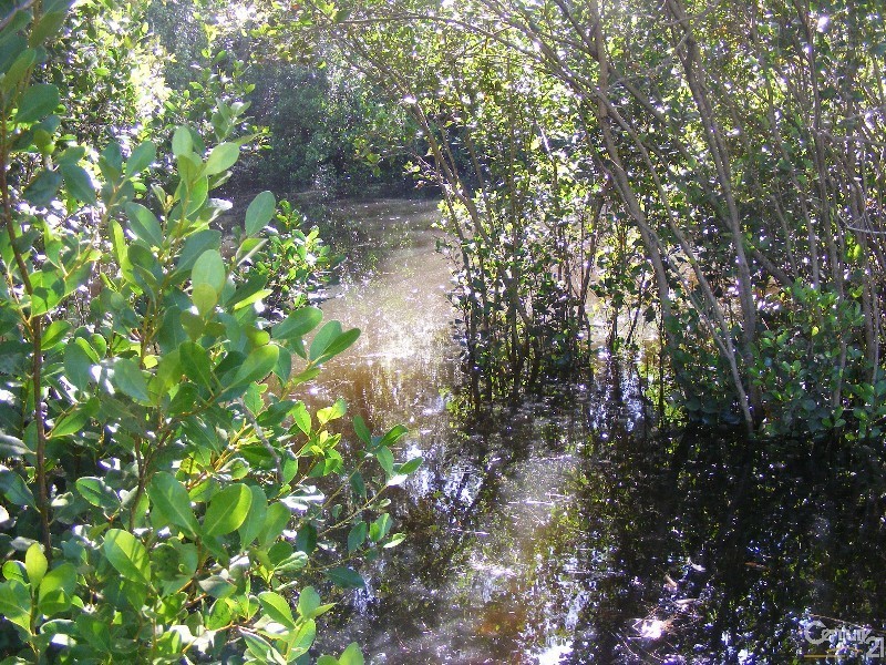 19 High Street North, Taree NSW 2430