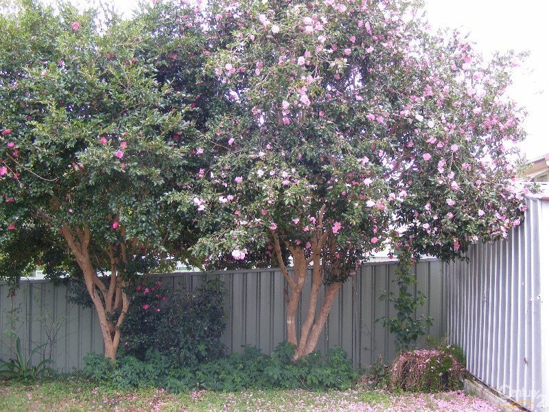 19 High Street North, Taree NSW 2430