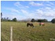 95 River Road, Glenthorne NSW 2430