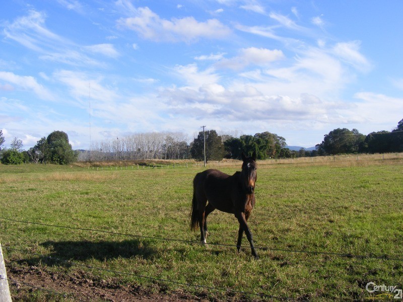 95 River Road, Glenthorne NSW 2430