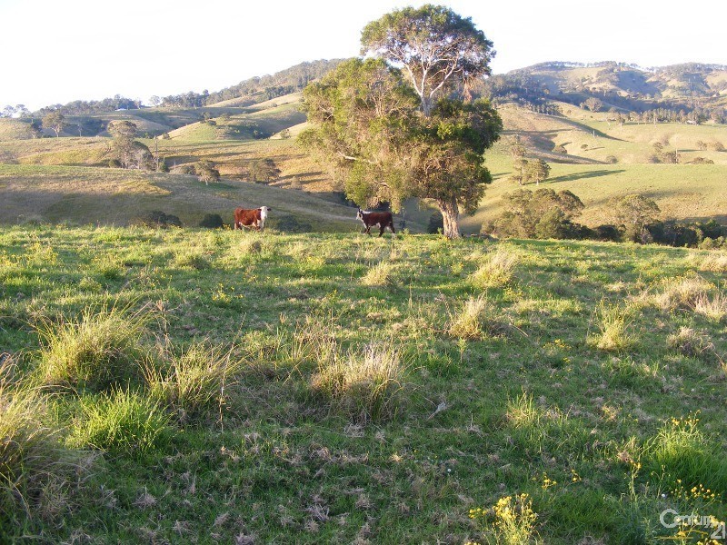 856 Little Bunya Road, Bunyah NSW 2429