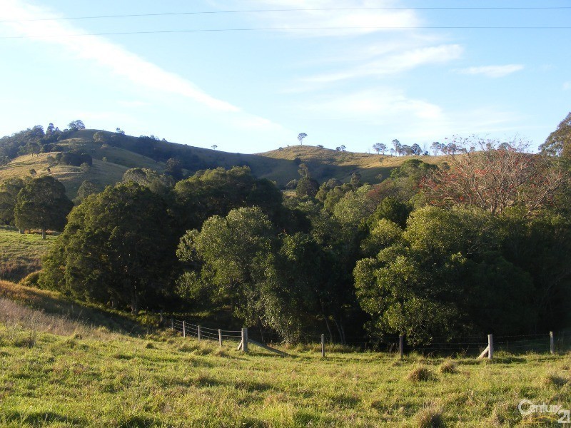 856 Little Bunya Road, Bunyah NSW 2429