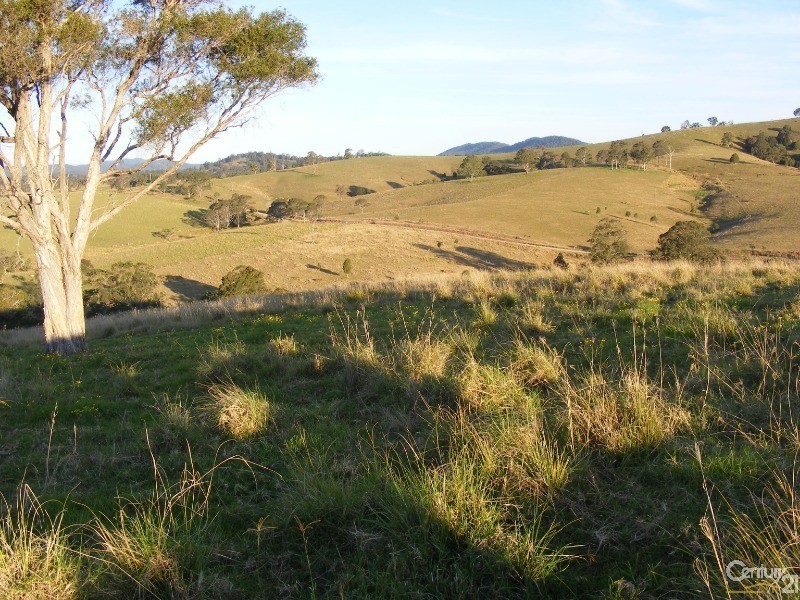 856 Little Bunya Road, Bunyah NSW 2429