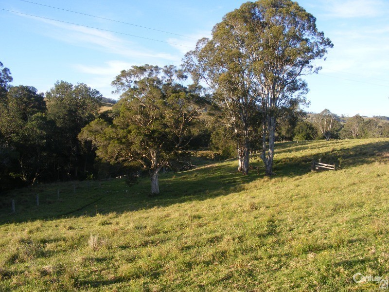 856 Little Bunya Road, Bunyah NSW 2429