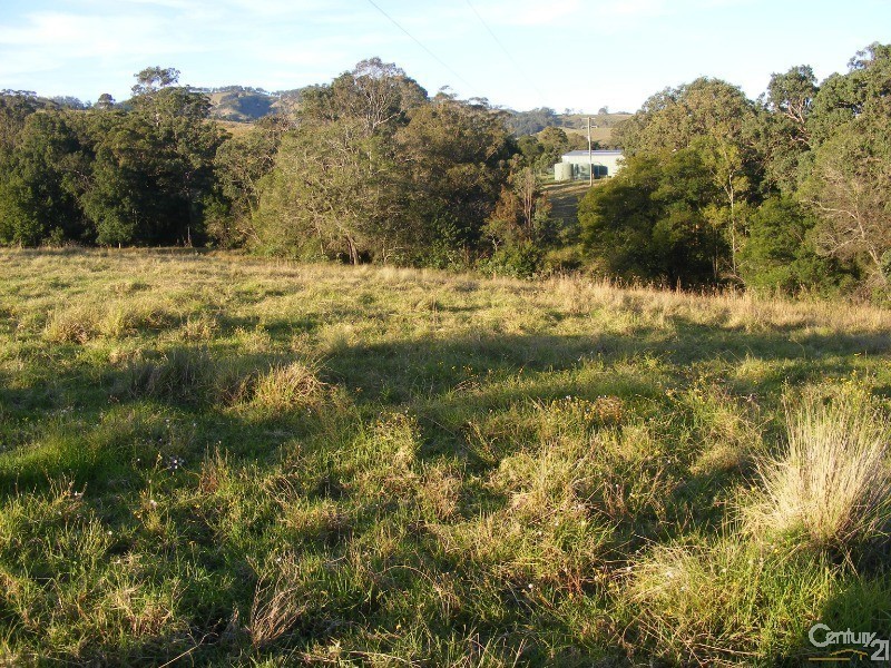 856 Little Bunya Road, Bunyah NSW 2429