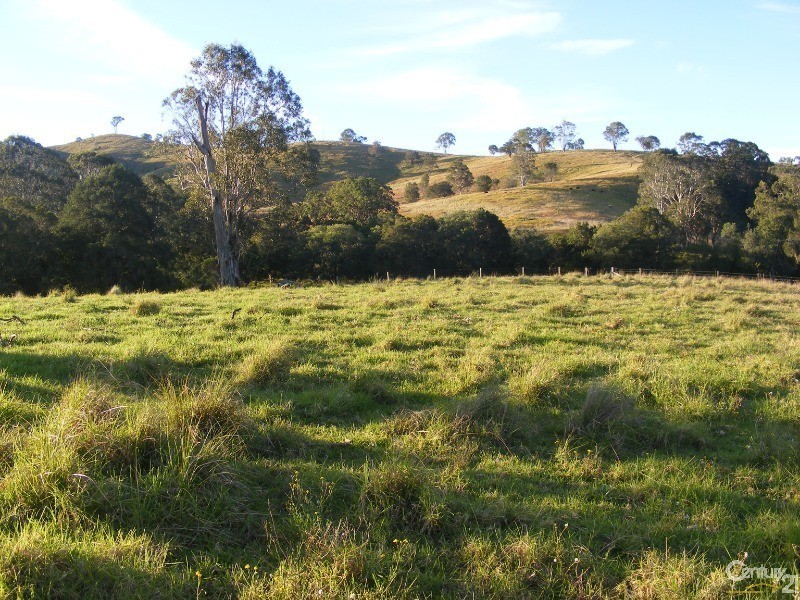 856 Little Bunya Road, Bunyah NSW 2429