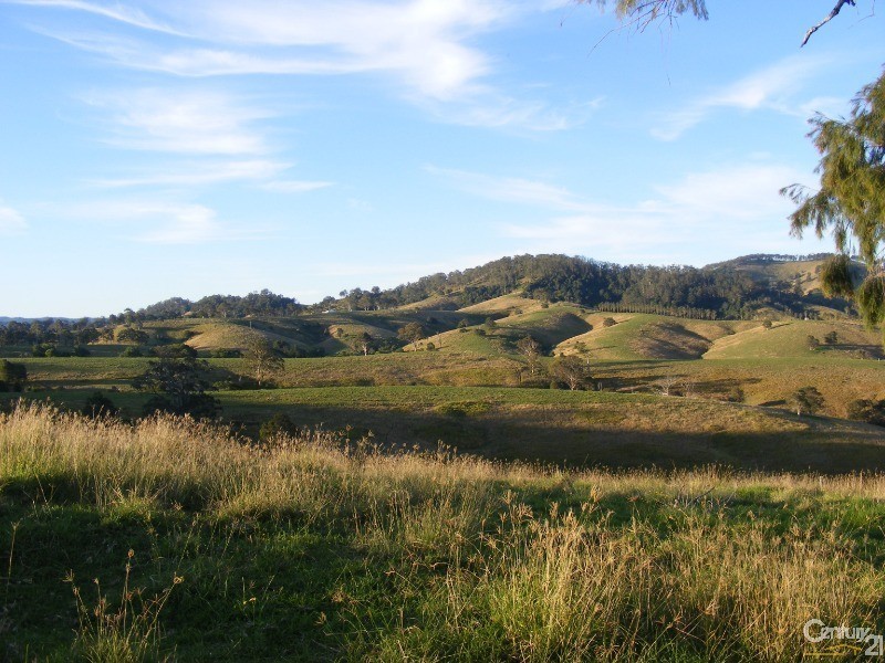 856 Little Bunya Road, Bunyah NSW 2429