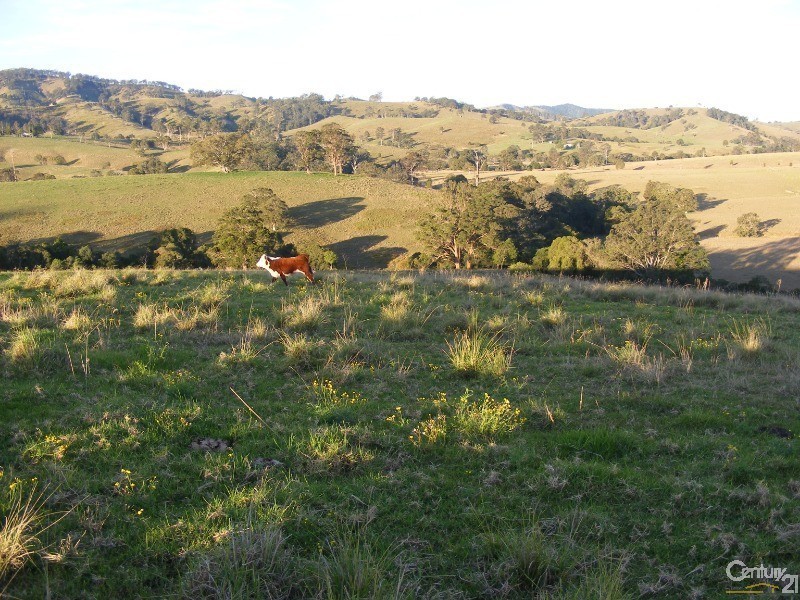 856 Little Bunya Road, Bunyah NSW 2429