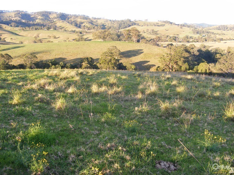 856 Little Bunya Road, Bunyah NSW 2429