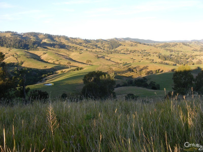 856 Little Bunya Road, Bunyah NSW 2429