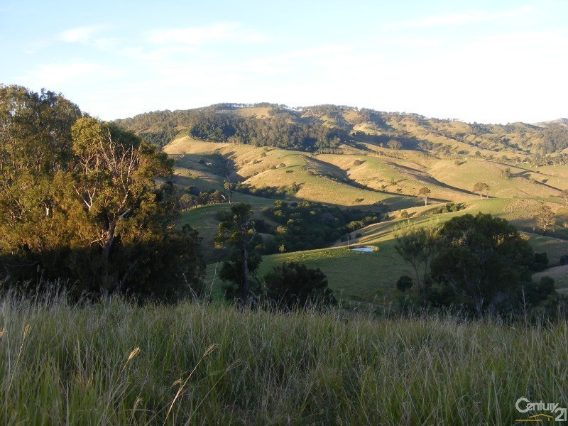 856 Little Bunya Road, Bunyah NSW 2429