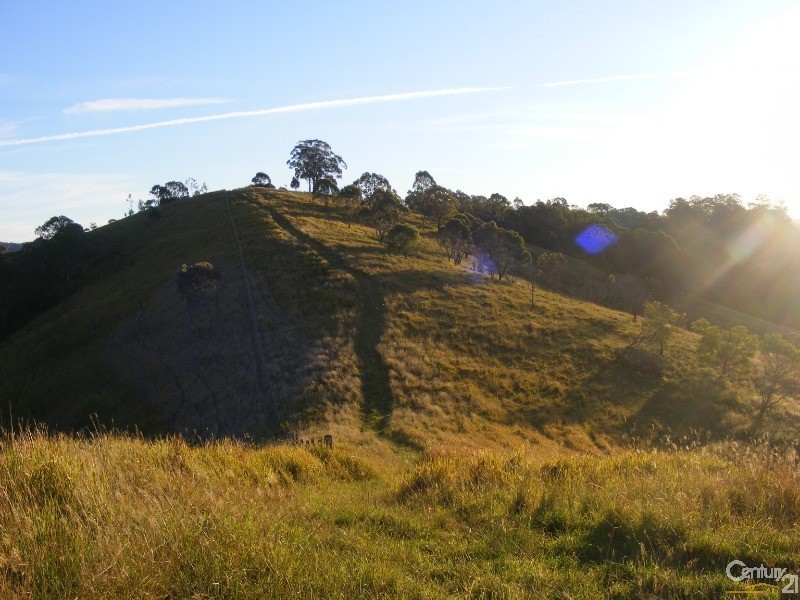 856 Little Bunya Road, Bunyah NSW 2429