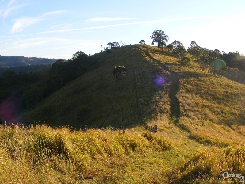 856 Little Bunya Road, Bunyah NSW 2429