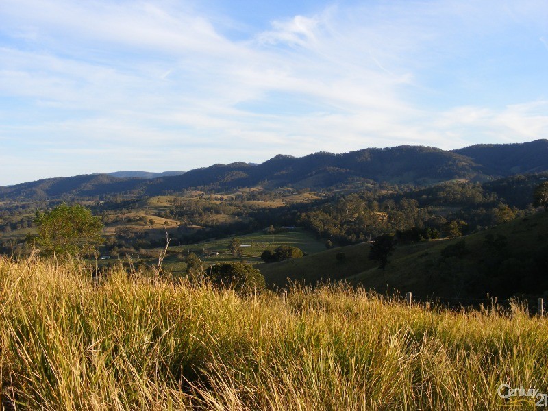 856 Little Bunya Road, Bunyah NSW 2429