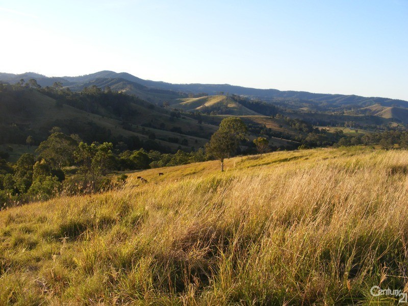 856 Little Bunya Road, Bunyah NSW 2429