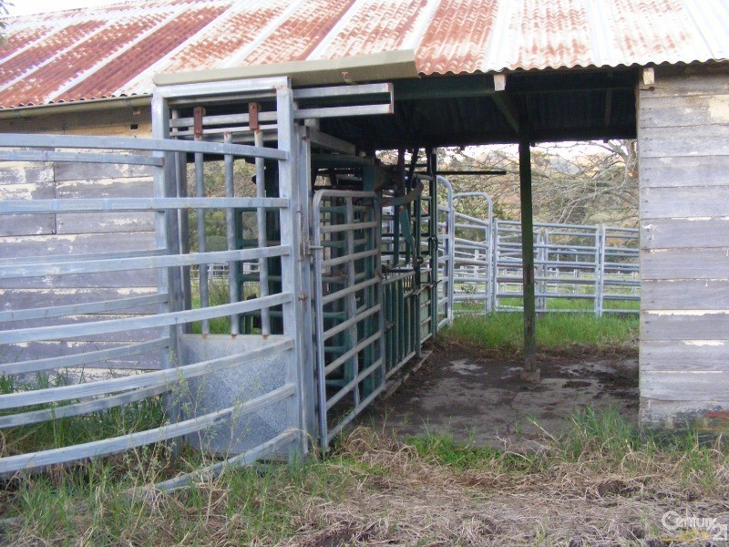 856 Little Bunya Road, Bunyah NSW 2429