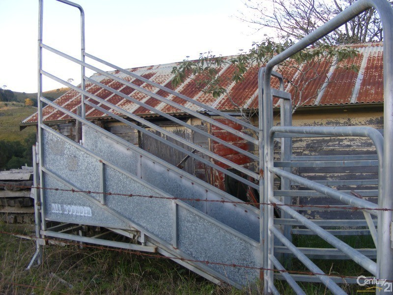 856 Little Bunya Road, Bunyah NSW 2429