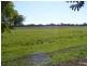 95 River Road, Glenthorne NSW 2430