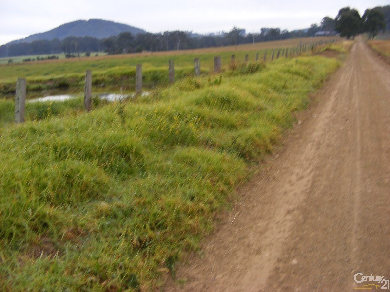 88 Pfeiffer Close, Cedar Party NSW 2429