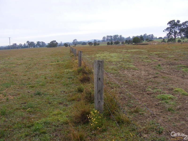 88 Pfeiffer Close, Cedar Party NSW 2429